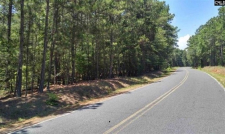 2.14 Acres on Lake Monticello, SC in Restricted Community - image 2
