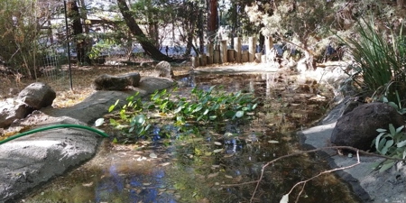 Vacaville, California Country Property For Sale With 2 Homes - image 12