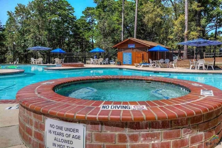 Country Home - Holly Lake Ranch - East Texas -Wood County - image 49