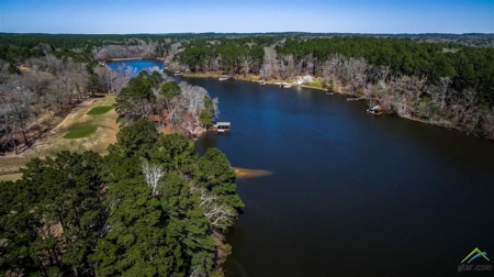 Country Home - Holly Lake Ranch - East Texas -Wood County - image 47