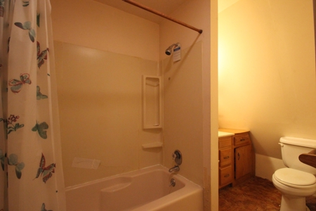 Lakefront Home For Sale Crooked Lake Atlanta MI  Fishing - image 25