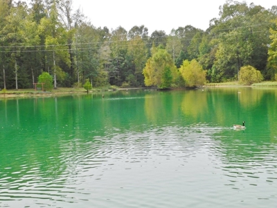 70 Acres Hunting Land 5 Bed/3 Bath Historic Home Natchez MS - image 12