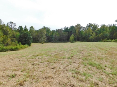 70 Acres Hunting Land 5 Bed/3 Bath Historic Home Natchez MS - image 40