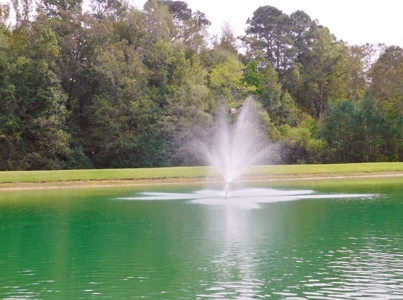 70 Acres Hunting Land 5 Bed/3 Bath Historic Home Natchez MS - image 11
