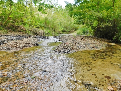 70 Acres Hunting Land 5 Bed/3 Bath Historic Home Natchez MS - image 41