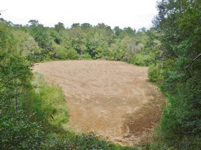 70 Acres Hunting Land 5 Bed/3 Bath Historic Home Natchez MS - image 14