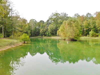 70 Acres Hunting Land 5 Bed/3 Bath Historic Home Natchez MS - image 17