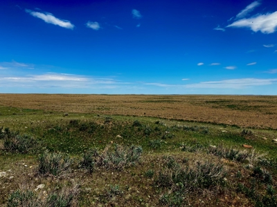 CRP Acres Investment Property previous Organic Farm Ground - image 7