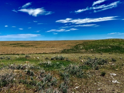 CRP Acres Investment Property previous Organic Farm Ground - image 8