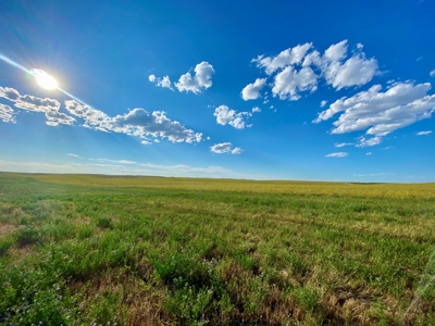 CRP Acres Investment Property previous Organic Farm Ground - image 4