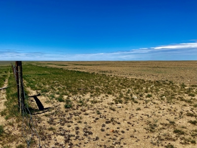 CRP Acres Investment Property previous Organic Farm Ground - image 6