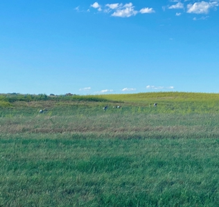 CRP Acres Investment Property previous Organic Farm Ground - image 3