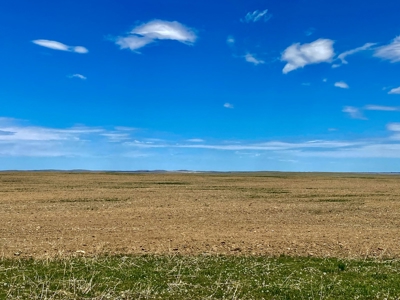 CRP Acres Investment Property previous Organic Farm Ground - image 5