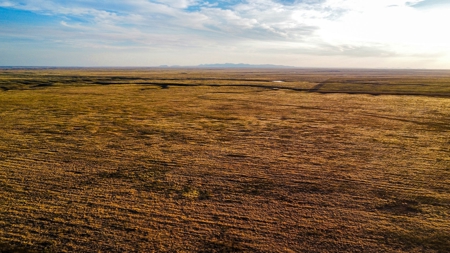 Alfalfa Hay Farm Small Acreage with Homesite Eastern Montana - image 20