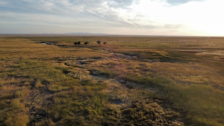 Alfalfa Hay Farm Small Acreage with Homesite Eastern Montana - image 24