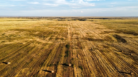 Alfalfa Hay Farm Small Acreage with Homesite Eastern Montana - image 14