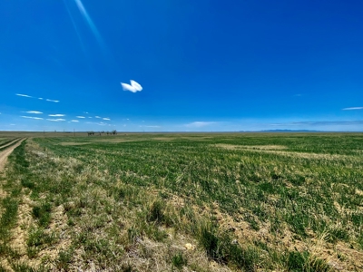 Alfalfa Hay Farm Small Acreage with Homesite Eastern Montana - image 5