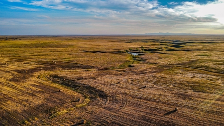 Alfalfa Hay Farm Small Acreage with Homesite Eastern Montana - image 16