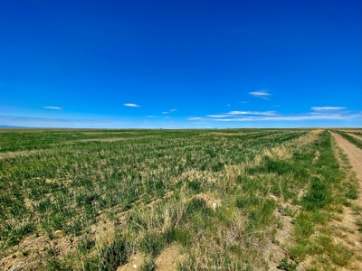 Alfalfa Hay Farm Small Acreage with Homesite Eastern Montana - image 8