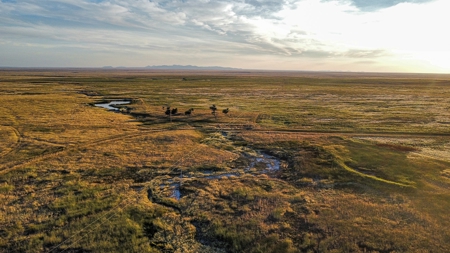 Alfalfa Hay Farm Small Acreage with Homesite Eastern Montana - image 23