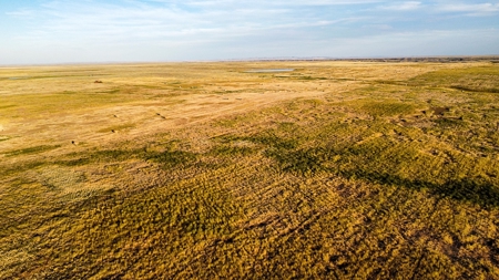 Alfalfa Hay Farm Small Acreage with Homesite Eastern Montana - image 11