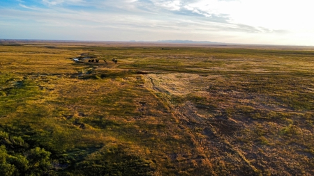 Alfalfa Hay Farm Small Acreage with Homesite Eastern Montana - image 28