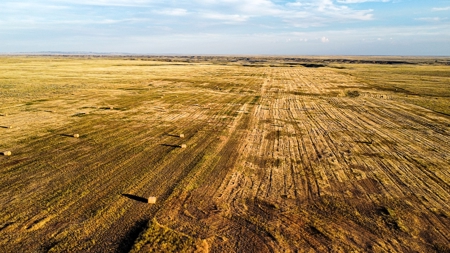 Alfalfa Hay Farm Small Acreage with Homesite Eastern Montana - image 13