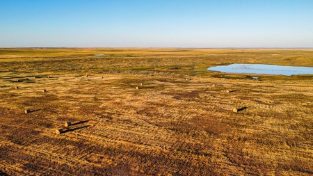 Alfalfa Hay Farm Small Acreage with Homesite Eastern Montana - image 19