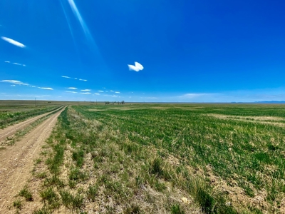 Alfalfa Hay Farm Small Acreage with Homesite Eastern Montana - image 6