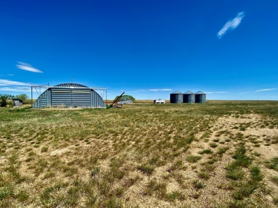 Alfalfa Hay Farm Small Acreage with Homesite Eastern Montana - image 4
