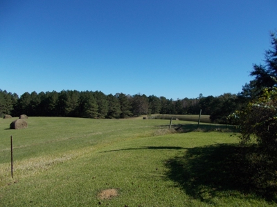 Two Houses and 97 Acres For Sale Copiah County Mississippi - image 20