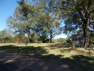 Two Houses and 97 Acres For Sale Copiah County Mississippi - image 18
