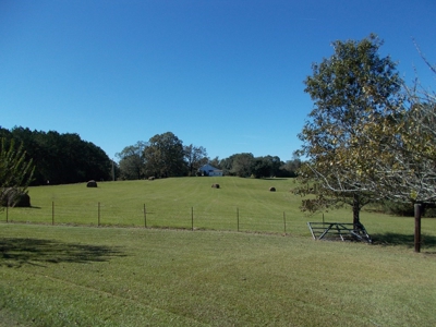 Two Houses and 97 Acres For Sale Copiah County Mississippi - image 31