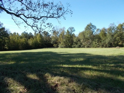 Two Houses and 97 Acres For Sale Copiah County Mississippi - image 38