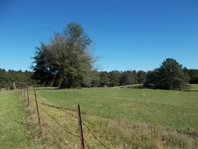 Two Houses and 97 Acres For Sale Copiah County Mississippi - image 23