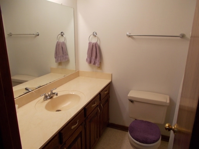 Two Houses and 97 Acres For Sale Copiah County Mississippi - image 3