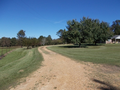 Two Houses and 97 Acres For Sale Copiah County Mississippi - image 25