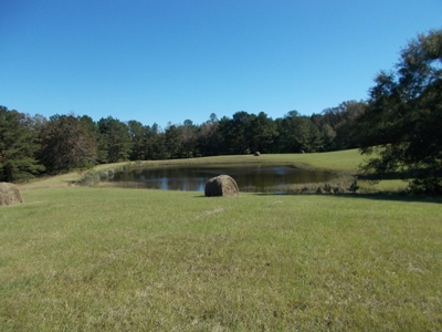 Two Houses and 97 Acres For Sale Copiah County Mississippi - image 24