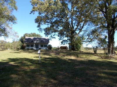 Two Houses and 97 Acres For Sale Copiah County Mississippi - image 19