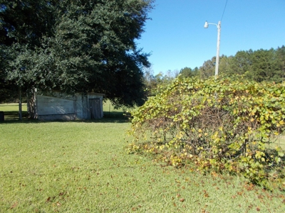 Two Houses and 97 Acres For Sale Copiah County Mississippi - image 21