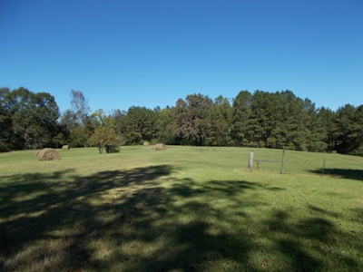 Two Houses and 97 Acres For Sale Copiah County Mississippi - image 37