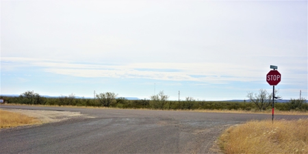 7.66 ACRES LAND NW OF FORT STOCKTON, TX FOR SALE Pecos Co - image 3