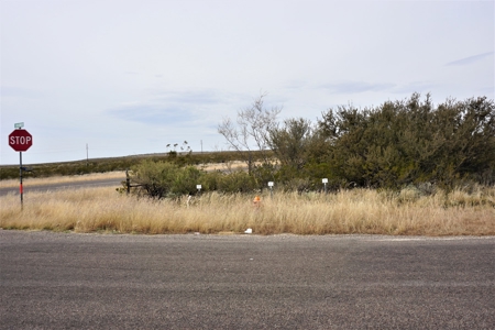 7.66 ACRES LAND NW OF FORT STOCKTON, TX FOR SALE Pecos Co - image 8