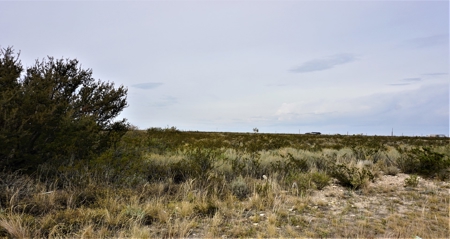7.66 ACRES LAND NW OF FORT STOCKTON, TX FOR SALE Pecos Co - image 4