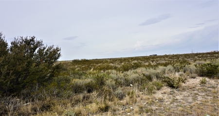 7.66 ACRES LAND NW OF FORT STOCKTON, TX FOR SALE Pecos Co - image 5