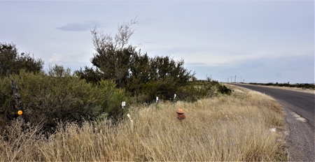 7.66 ACRES LAND NW OF FORT STOCKTON, TX FOR SALE Pecos Co - image 6