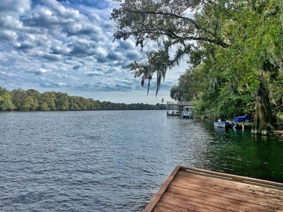 Suwannee River Waterfront Home For Sale - Old Town Florida - image 14
