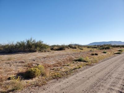 Acreage for sale in Deming NM - image 7