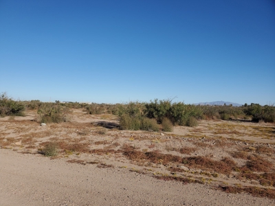 Acreage for sale in Deming NM - image 2