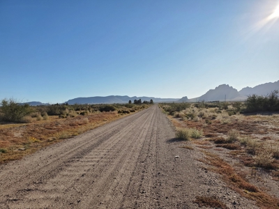 Acreage for sale in Deming NM - image 4